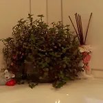 Фермерский дом Staerk *