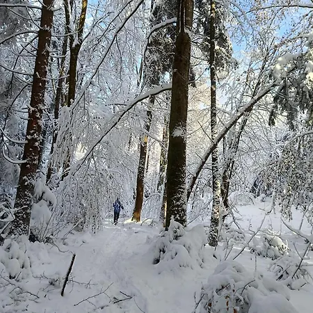 Bauernhof Stärk Bodnegg